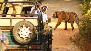 Top Things to Do near Sariska Tiger Reserve Top Things to Do near Sariska Tiger Reserve